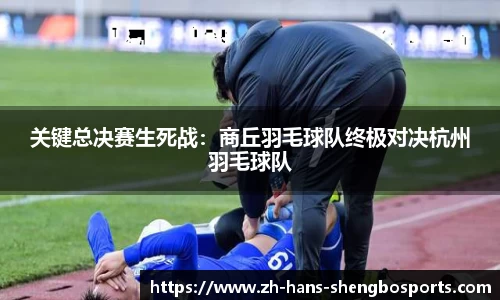 升博体育APP