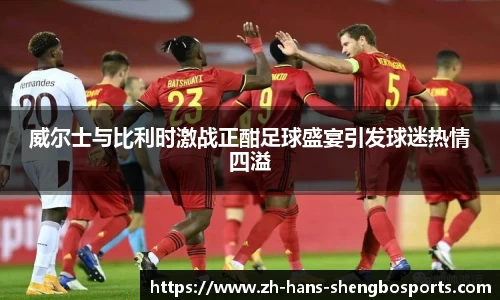 威尔士与比利时激战正酣足球盛宴引发球迷热情四溢